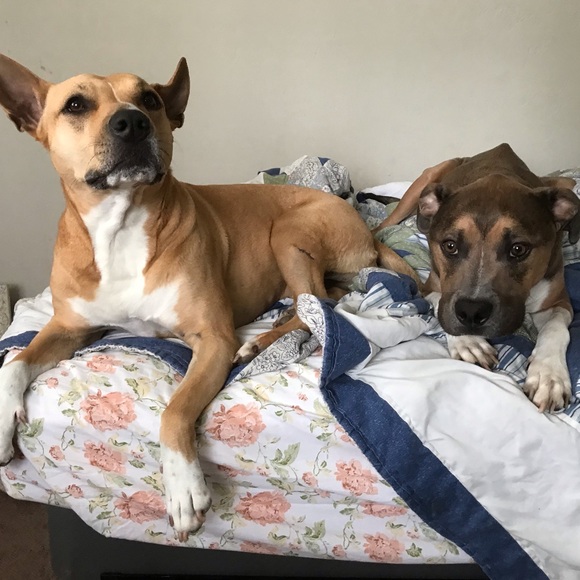 Meet your Posher, Myrna - Picture 3 of 8